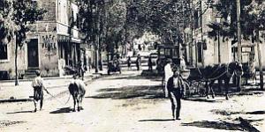 1274- Cheragas - Rue principale2
